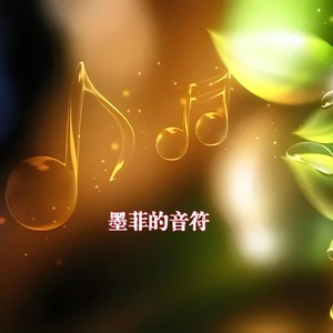 墨菲Jia - 她來聽我的演唱會 (Live)
