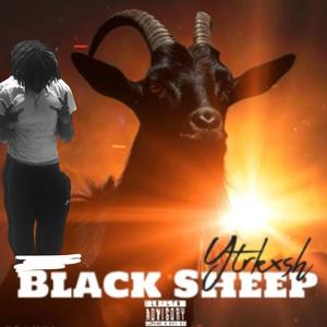 Black Sheep I (Explicit)