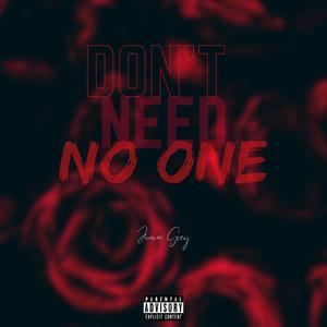 Don't Need No One (Explicit)