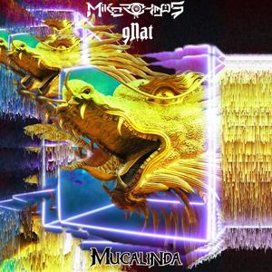 Mucalinda(feat. gNat)
