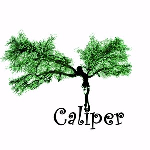 Caliper