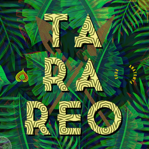 TARAREO