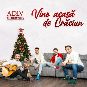 Vino Acasă de Crăciun