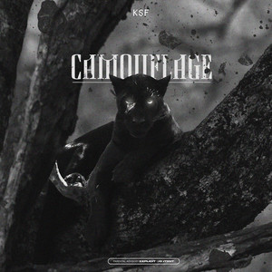 CAMOUFLAGE (Explicit)