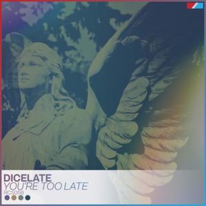 You're Too Late (Original Mix)