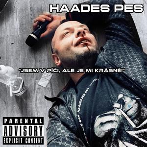 Jsem v pí** ale je mi krásně (Explicit)