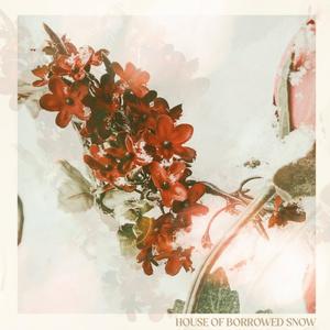 A breath of cold air