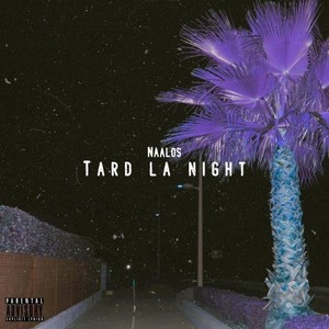 Tard la night (Explicit)