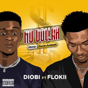 No Dollar(feat. FLOKII)