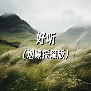 好听 (烟嗓摇滚版)封面