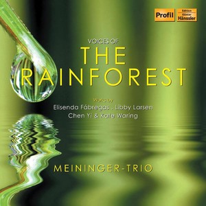 FABREGAS, E.: Voices of the Rainforest / WARING, K.: Alapana / LARSEN, L.: Slow Structures / YI, Chen: Night Thoughts (Meininger Trio)