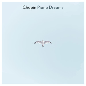 Chopin Piano Dreams