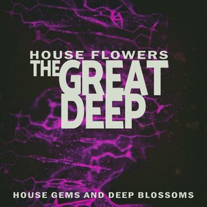 Acrobatic Fly (Wonder Mix)