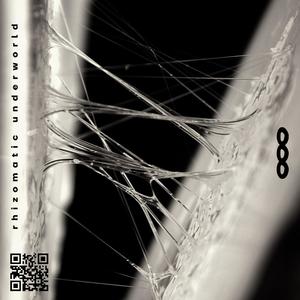 Void The Zen (feat. Amanoyakh)