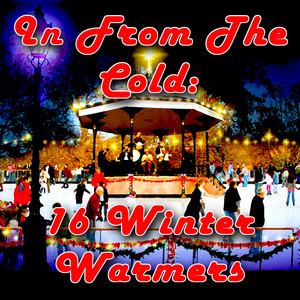 In From The Cold - 16 Winter Warmers