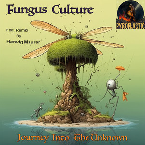 Journey Into the Unknown (Herwig Maurer Remix)