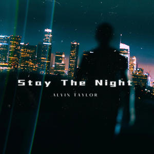 Stay The Night