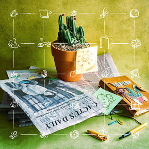 人类是光合作用动物