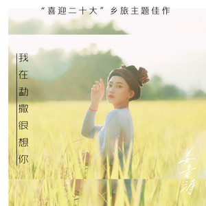 我在勐撒很想你