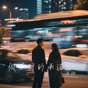 做不到的承诺就不要对我说封面