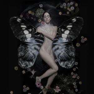 Spiritual Metamorphosis