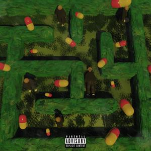 ThruTheMaze (Explicit)