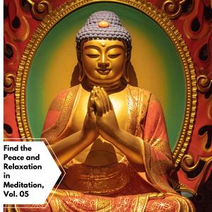 Find The Peace And Relaxation In Meditation, Vol. 05