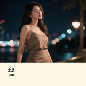 无意 - 极限封面