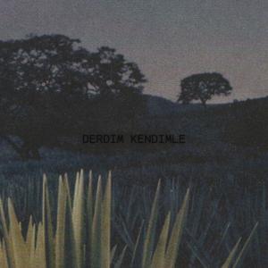Derdim Kendimle