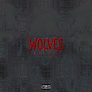 Wolves (feat. sd & 200k) (Explicit)