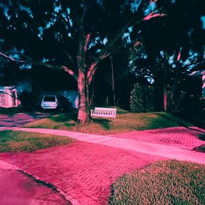 pink (Explicit)