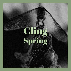 Cling Spring