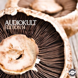 Audiokult Edition 14