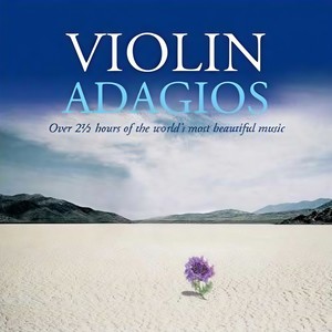 Violin Concerto in D Major, Op. 77 - II. Adagio (D大调小提琴协奏曲，作品77 - 第二乐章 柔板)