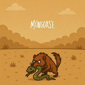 Mongoose (Explicit)