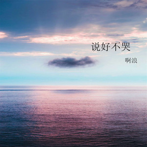 晒的什么花DJ (DJ版)