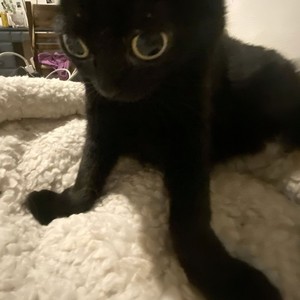 donewiththisshit (Explicit)