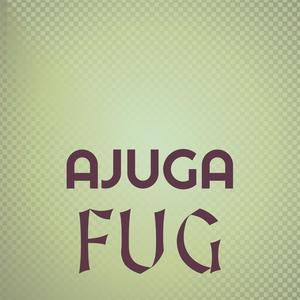 Ajuga Fug