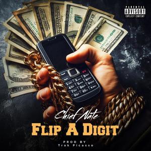 Flip A Digit (Explicit)
