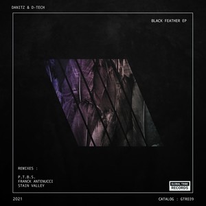 Black Feather (Stain Valley Remix)