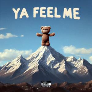 Ya Feel Me (Explicit)