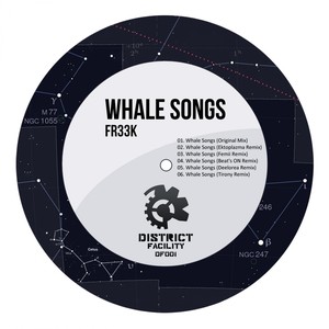 Whale Songs