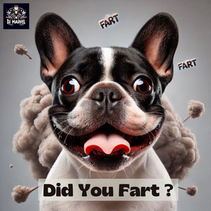 Did You Fart ?