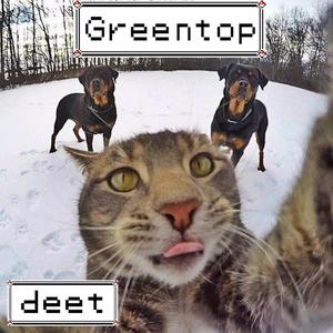 like a ** (Explicit)