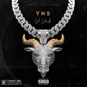 Y.N.S (Explicit)