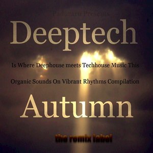 Deeptech Is Where Deephouse Meets Techhouse Music This Autumn (Organic Sounds On Vibrant Rhythms Compilation)