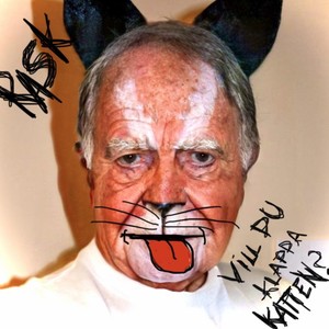 Vill du klappa katten?