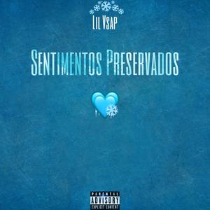 Lil Vsap - Sentimentos Preservados