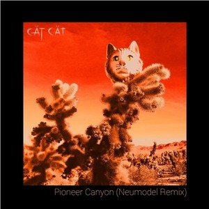 Pioneer Canyon (Neumodel remix)