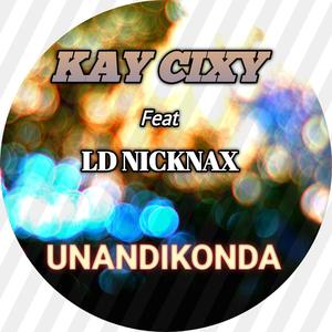 Unandikonda (feat. Ld Nicknax)